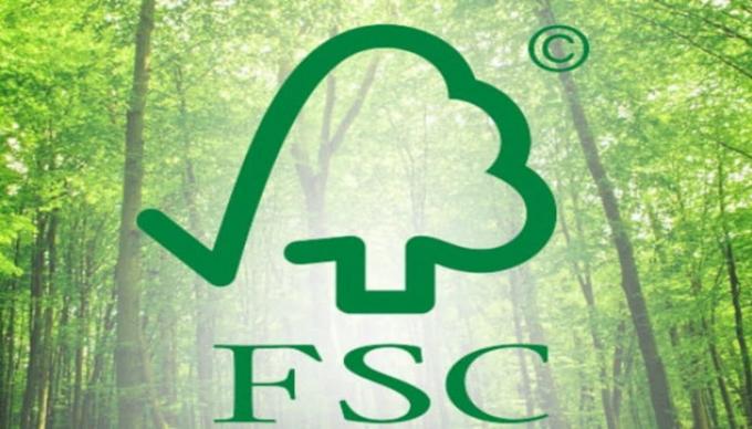 latest company news about Congratulations to Wellmark Packaging (Dongguan) Co., Ltd. for successfully passing FSC certification  0