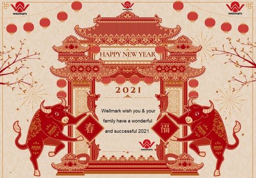 Latest company news about Happy New Year wishes from Wellmark !