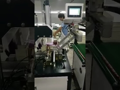 Servo Automatic Air Bubbles Pressing Machine With Manipulator